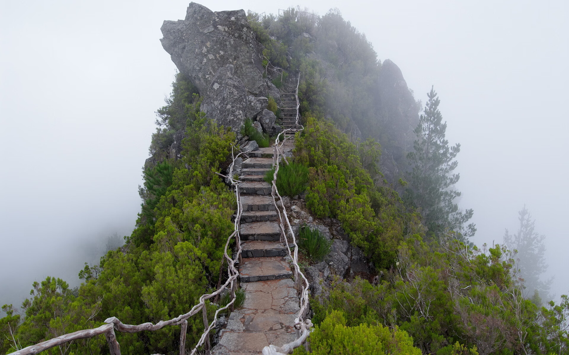摩纳哥水球战术灵活多变，摩纳哥战绩聚胜顽球汇