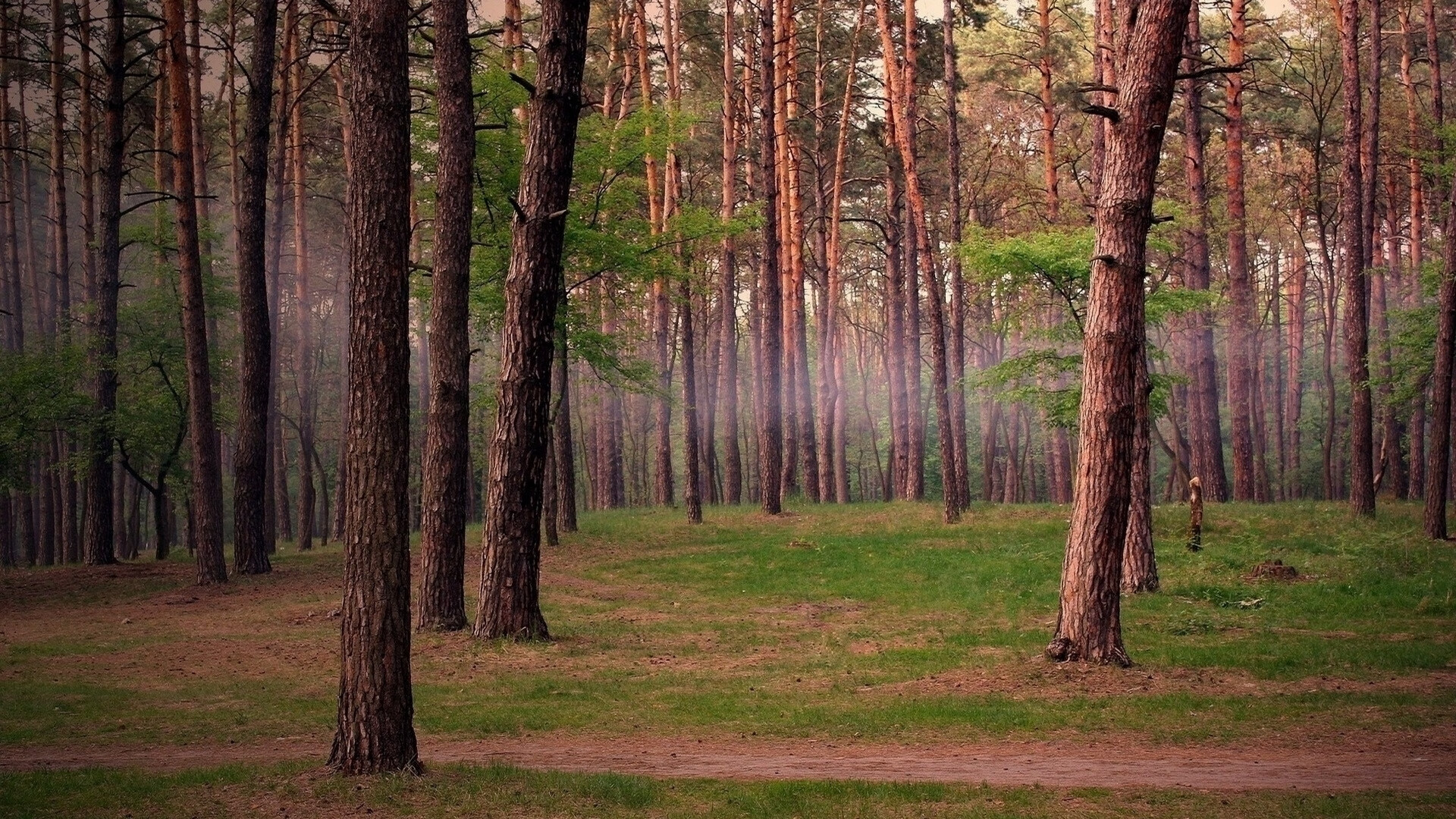 篮球文化节融合艺术元素打造沉浸式体验场景，篮球文化节活动方案