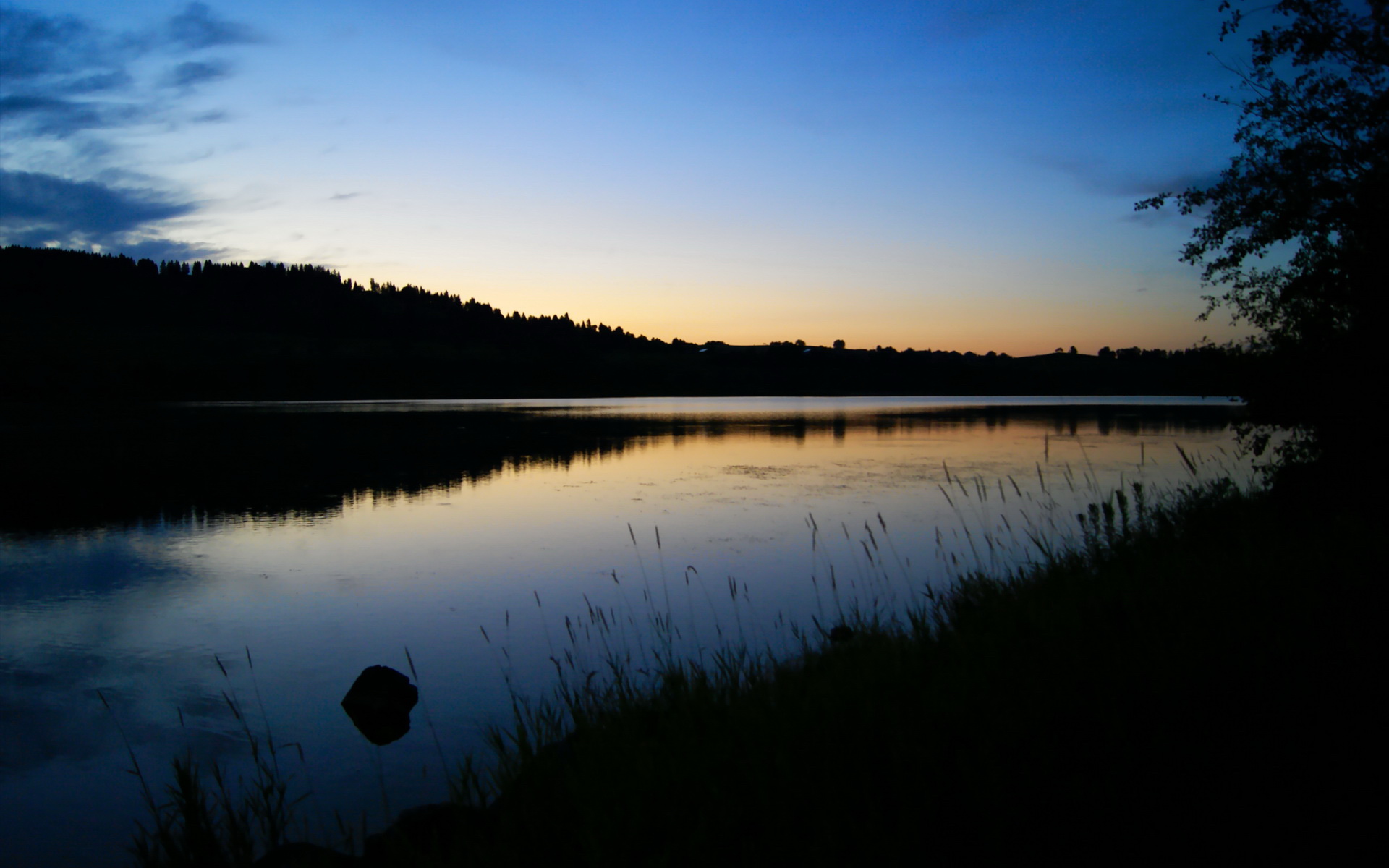 训练营开设家长课程推动家庭体育教育与训练理念同步，家庭体育如何开展