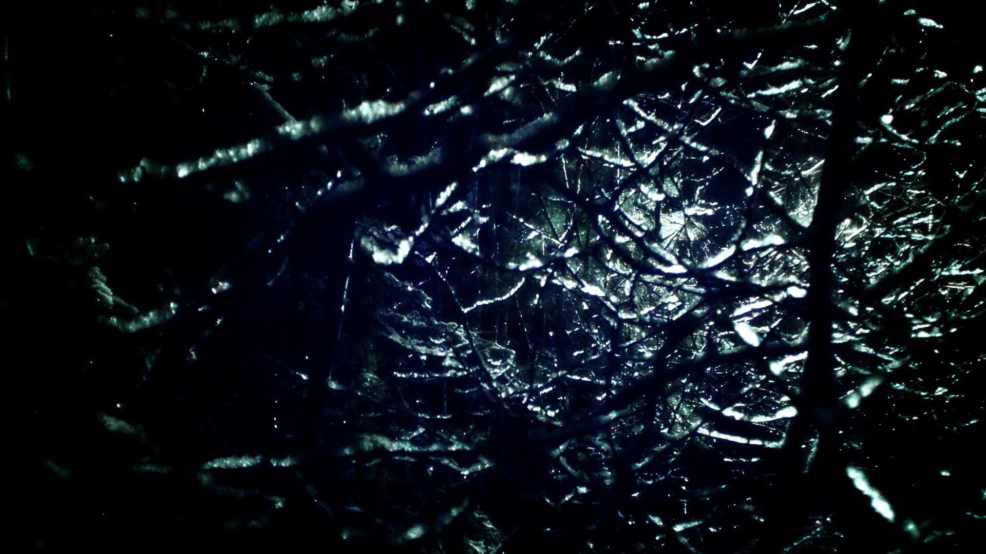 里奇·麦考退役后依然影响着橄榄球世界，麦考利和迈克杰逊是好友