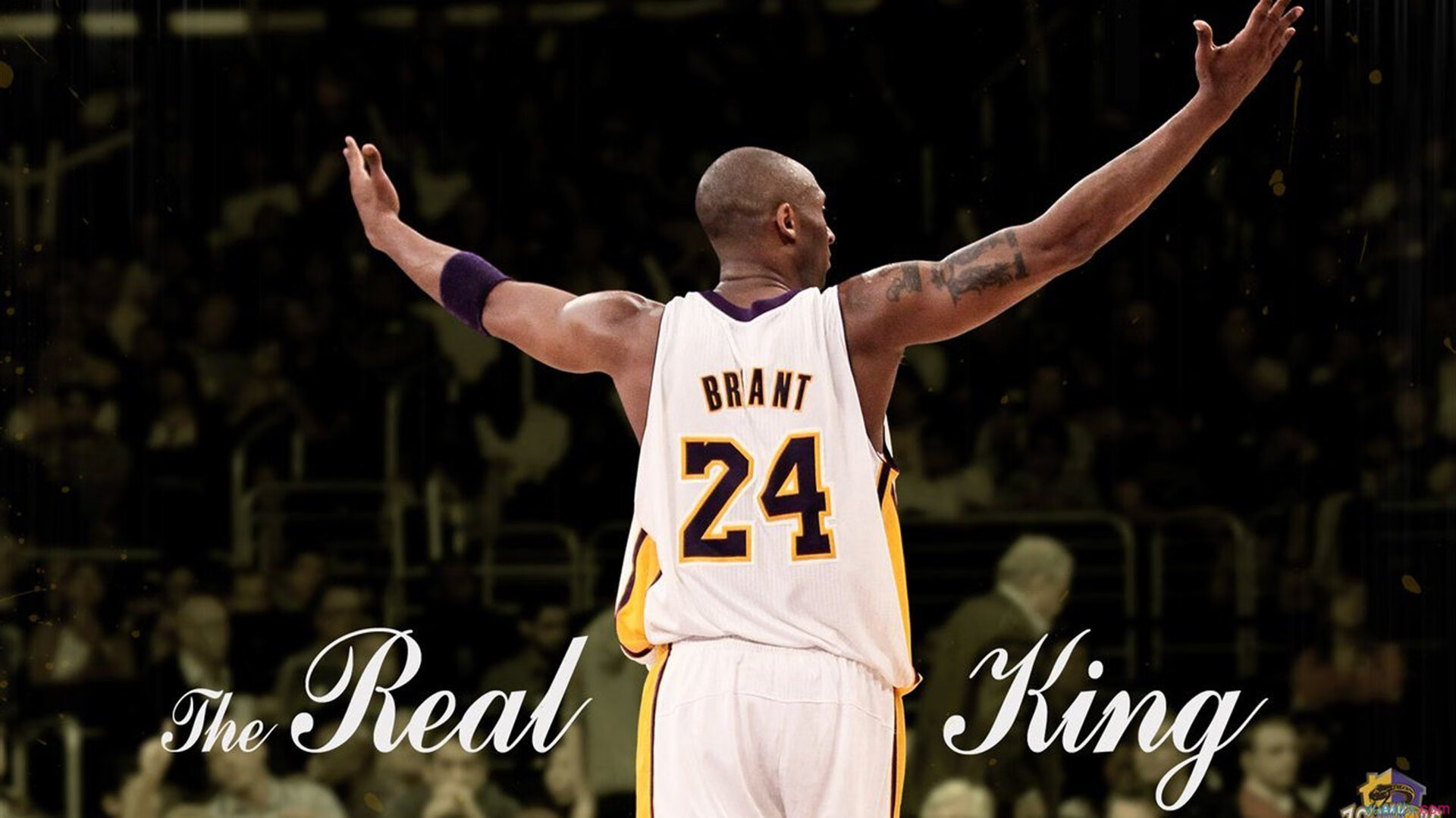 爱游戏娱乐平台-“黑马崛起”记：他们从无名到夺冠神话，黑马诞生 完美逆袭